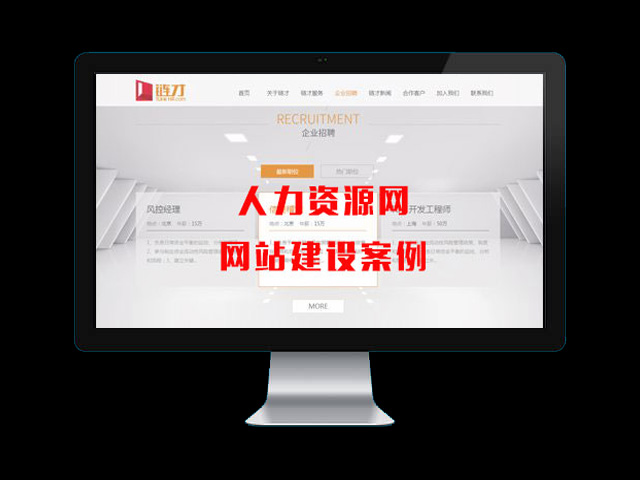 人力資源招聘網網站建設案例