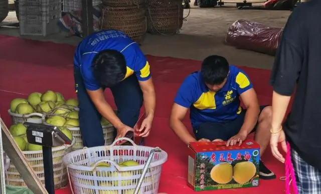 德邦物流助力臺州水果走向全國，高效物流保障果農增收